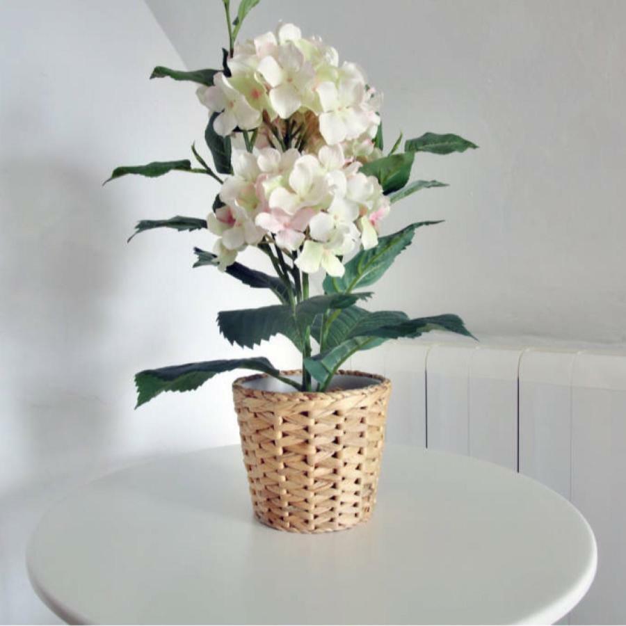 Casa Las Tres Conchas Yunquera ภายนอก รูปภาพ